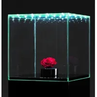 Vitrine en verre LED intégré