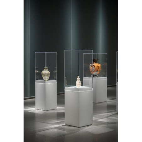 Vitrine cloche plexi Vitrine cloche plexi
