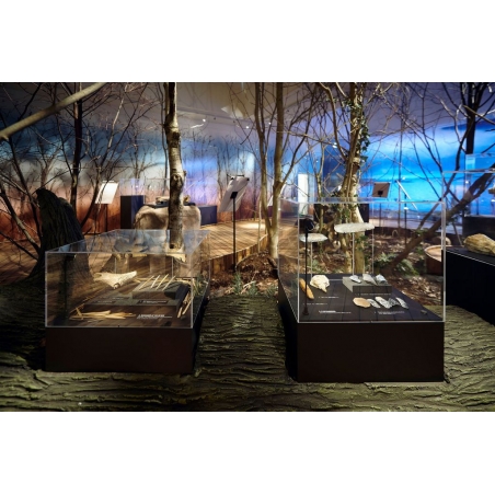 Vitrine cloche plexi Vitrine cloche plexi
