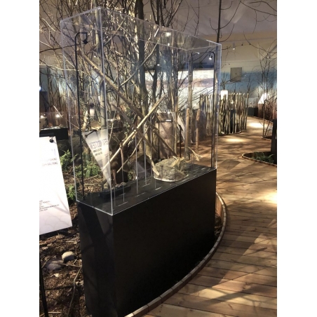 Vitrine cloche plexi Vitrine cloche plexi