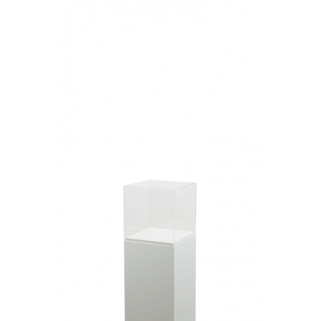 Vitrine cloche plexi