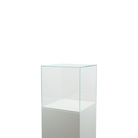 Vitrine cloche en verre