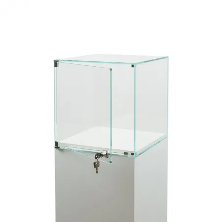 Vitrine cloche avec porte