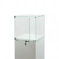 Vitrine cloche avec porte