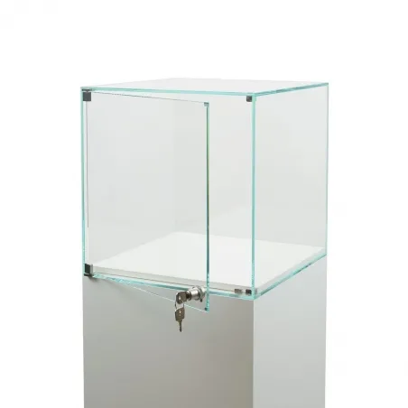 Vitrine cloche avec porte