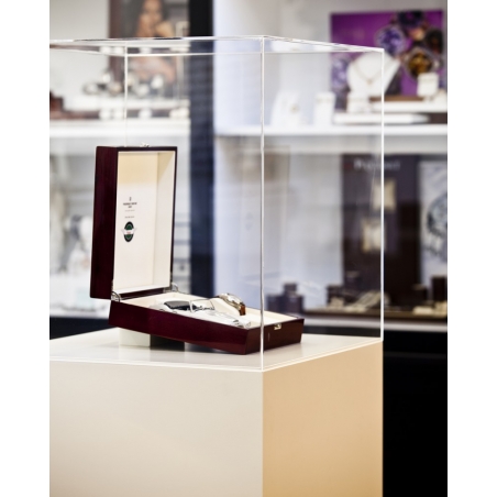 Vitrine cloche plexi Vitrine cloche plexi