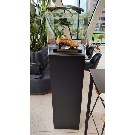 Vitrine cloche plexi Vitrine cloche plexi