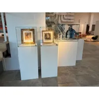 vitrine display