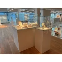 Vitrine cloche avec porte