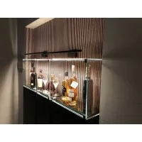 Vitrine cloche avec porte