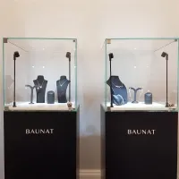 Vitrine cloche avec porte