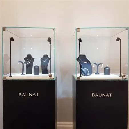 Vitrine cloche avec porte