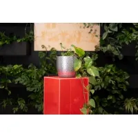 Socle plexiglas