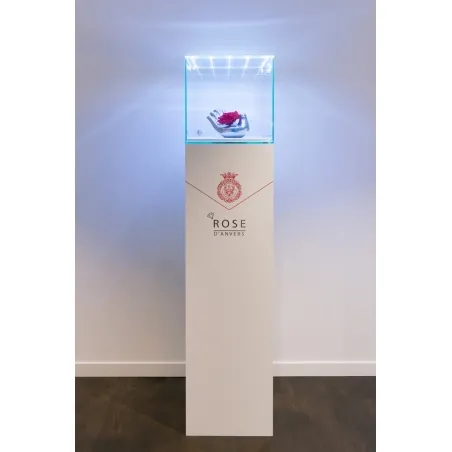 Vitrine en verre LED intégré