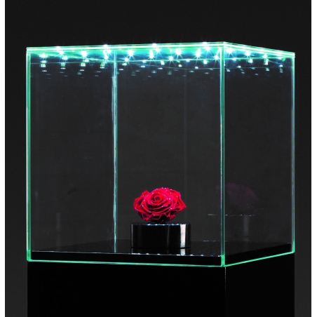 Vitrine en verre LED intégré