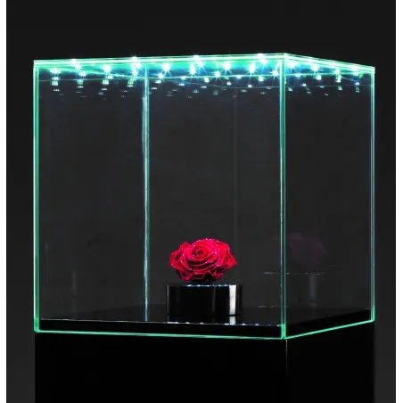 Vitrine en verre LED intégré
