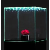 Vitrine en verre LED intégré