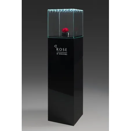 Vitrine en verre LED intégré