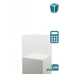 Vitrine cloche plexi