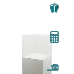 Vitrine cloche plexi