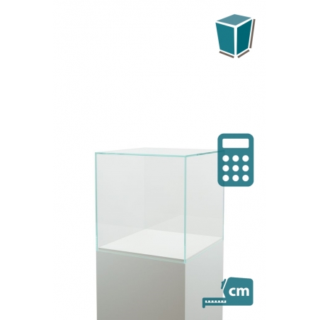 Vitrine Cloche Verre