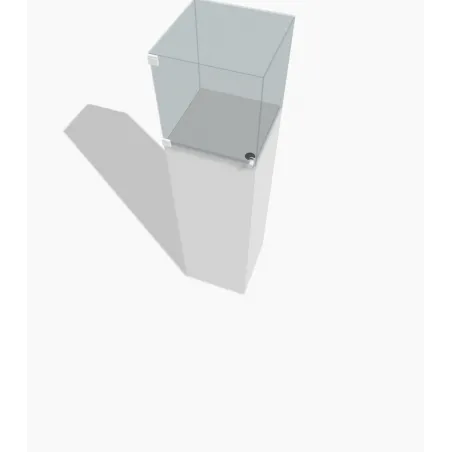 Socle