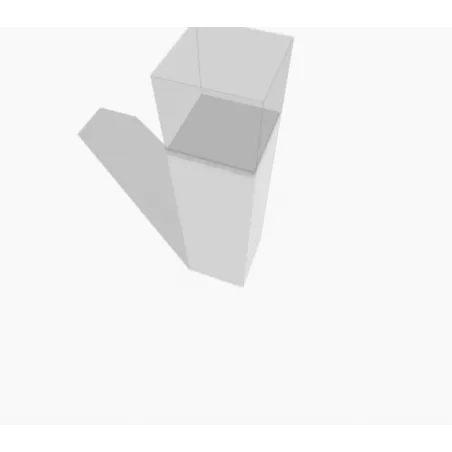Socle