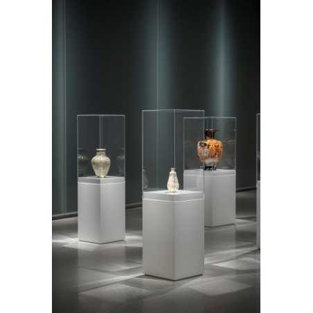 Vitrine cloche plexi