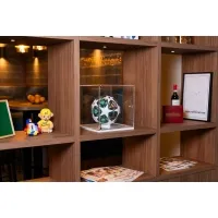 Vitrine cloche plexi