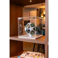 Vitrine cloche plexi
