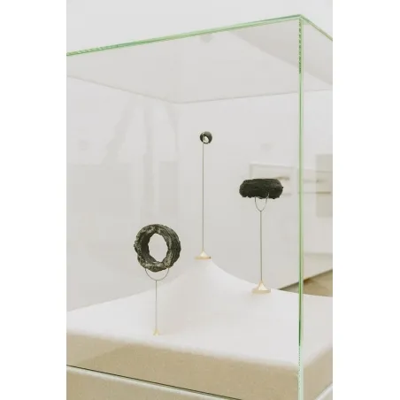 Vitrine cloche en verre