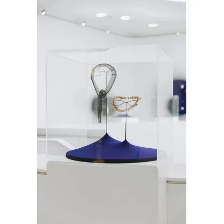 Vitrine cloche plexi