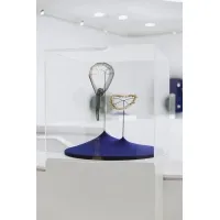 Vitrine cloche plexi