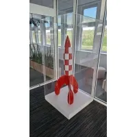 Vitrine cloche plexi