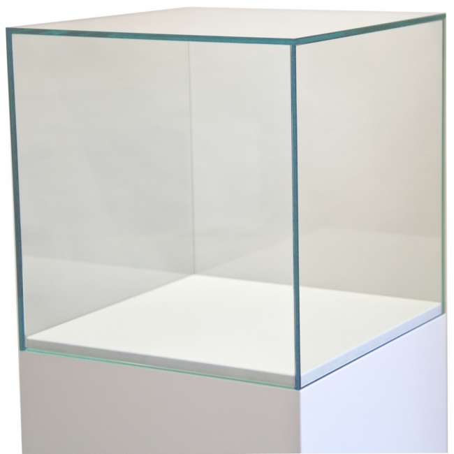 vitrine cloche en verre, 30 x 30 x 30 cm (lxLxh)