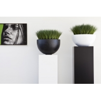 socle noir, 30 x 30 x 100 cm (lxLxh)