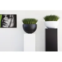 socle noir, 45 x 45 x 100 cm (lxLxh)
